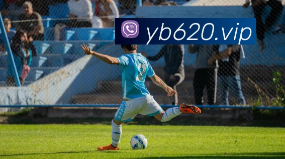 奖项证书